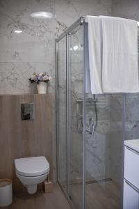 比亚韦斯托克Oaza w Centrum的带淋浴、卫生间和盥洗盆的浴室