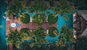 芭东海滩Burasari Phuket Resort & Spa的棕榈树泳池的顶部景色