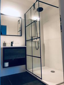 瑙吉考尼饶格里利亚酒店的一个带水槽的玻璃淋浴间