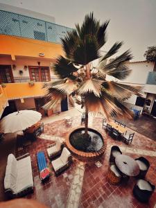 达喀尔卡萨玛拉达喀尔酒店的庭院内棕榈树的顶部景色