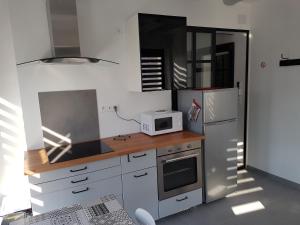 阿姆博斯Joli appartement avec vue sur la Loire的厨房配有微波炉和冰箱。