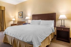 达洛尼加Comfort Inn & Suites Dahlonega University Area的一张大床,位于酒店带两盏灯的房间