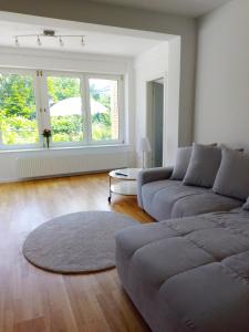 巴特洪内夫Ruhige zentrale Lage in Bad Honnef的带沙发和大窗户的客厅