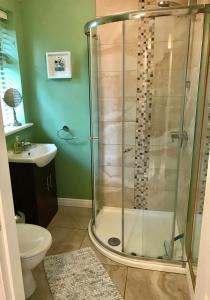 莱特弗拉克Red Deer Cosy Apartment in Letterfrack Connemara的带淋浴、卫生间和盥洗盆的浴室