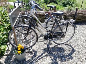 泰尔讷曾Het Zeeuwsverblijf的两辆自行车停在彼此旁边,两辆放着鲜花