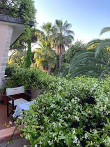 马尔米堡米尼翁酒店的种植了绿色灌木和棕榈树的花园