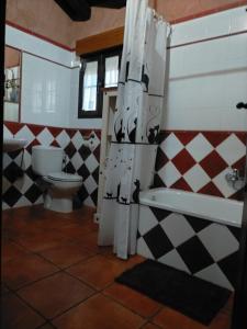 米兰达德尔卡斯塔尼亚尔Casa Rural Laura的一间带卫生间和淋浴帘的浴室