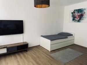 林茨LINZ bellavista Studio-Apartment Landstraße的客厅配有床和平面电视