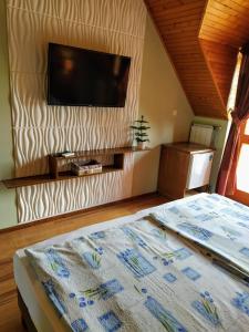 根尼斯迪亚斯博德哈兹旅馆的一间卧室配有一张床和一台平面电视