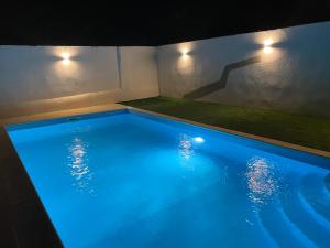 雷根古什-迪蒙萨拉什Painel de Monsaraz的一座拥有蓝色灯光的大型游泳池