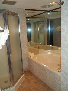 卢尔湖Fox Run Association, a VRI resort的带浴缸和玻璃淋浴间的浴室。