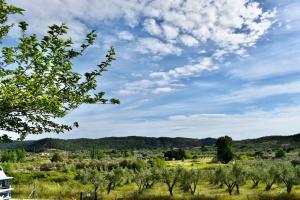 奥马斯帕纳吉亚斯Ktima Panagias的享有树木和房屋的田野景色