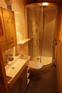 波尔莱扎Vakantiehuis Porlezza的带淋浴、卫生间和盥洗盆的浴室