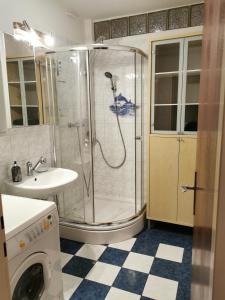 格拉茨Citycenter Apartment Stadthalle的带淋浴、水槽和洗衣机的浴室