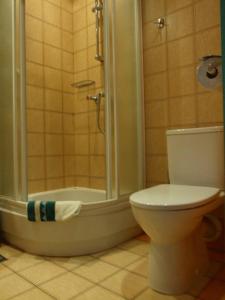 克拉科夫神圣之家旅馆的一间带卫生间和淋浴的浴室