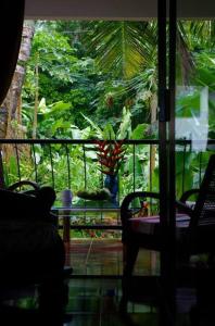 维多利亚PAPAYAS SELF catering ROOM的客房设有一个窗户,享有花园的景色
