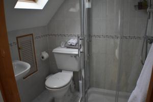 StreteFrogwell的一间带卫生间和淋浴的小浴室