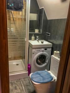 普瓦维Cosy studio in quiet location的小型浴室设有洗衣机和水槽。