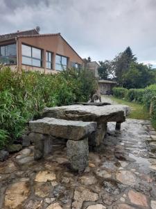 Aullène卡尔代利尼住宿加早餐旅馆的坐在房子前面的石凳上的猫