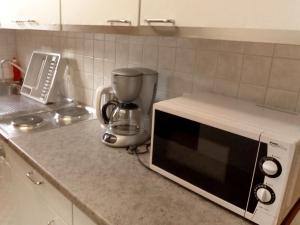 格林德尔瓦尔德Apartment Chalet Bärgsunna-1 by Interhome的厨房柜台配有微波炉和搅拌机