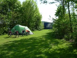 Anna Paulowna4 persoons ingerichte tent op kleine camping的树田里的帐篷和椅子
