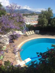 斯卡莱阿玫瑰大酒店的一个带椅子的游泳池,享有城市美景