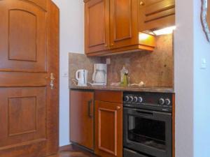采尔马特Apartment by Interhome的厨房配有木制橱柜和炉灶。