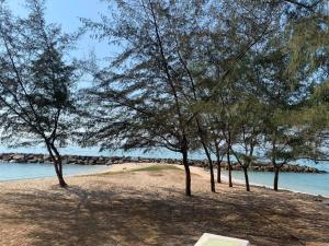 罗勇Ban Rub Lom Pool Villa的一群树木在海边