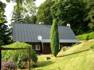 梅图耶河畔特普利采Holiday Home Zdoňov by Interhome的金属屋顶和院子的房子