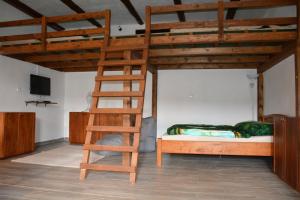 MalečovNa koňské farmě的一间卧室配有带梯子的双层床和一张双层床。