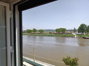 萨尔堡Studio by the river的从窗户可欣赏到河流美景