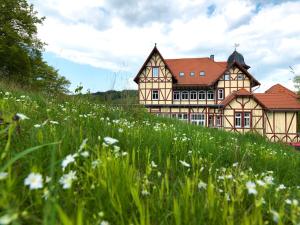 施托尔贝格哈尔茨Hotel & Spa Suiten FreiWerk的一座大房子,位于一座小山上,花田繁茂