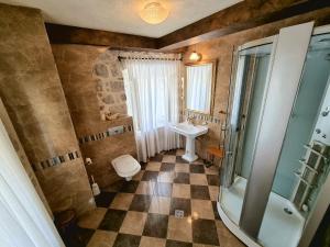 帕里斯特宫伊莲娜公寓的一间带水槽、卫生间和淋浴的浴室