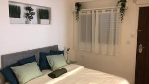 特拉维夫Villa Tlv רחוב הירקון 27 תל אביב的一间卧室配有一张带蓝色和绿色枕头的床