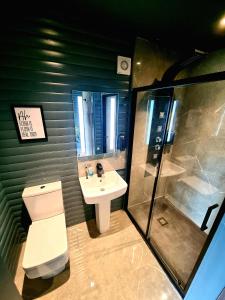 CarrYaseva Lodge, Stylish Country Retreat for 2, Hot Tub, Exceptional Views!的浴室配有卫生间、盥洗盆和淋浴。