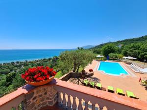 韦兰迈尔Villa Le Cannicelle的一个带花瓶的阳台和一个游泳池