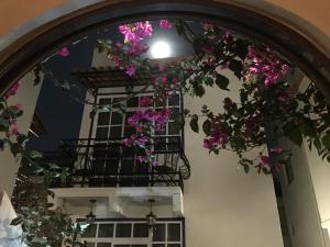 圣胡安特奥蒂瓦坎Villa Las Campanas的窗前有粉红色花的拱门