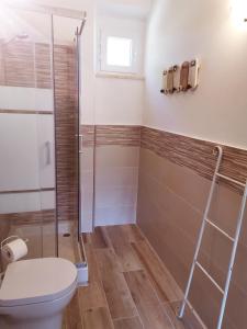 卡斯蒂里昂纳·德拉佩Pian di Rocca Country的一间带卫生间和玻璃淋浴间的浴室