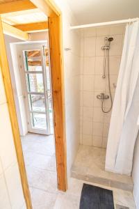 尼亚卢卡Villa Insula的带淋浴和浴帘的浴室