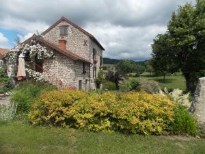 Saint-Clémentcôté jardin的一座老石头房子,在院子里种花