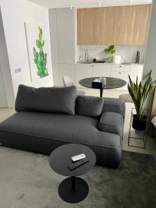 伊万诺-弗兰科夫斯克Caсtus Apartments 1的客厅配有沙发和桌子