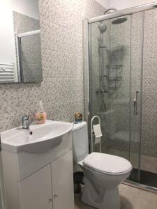 锡比乌Gizell Apartment 1的浴室配有卫生间、盥洗盆和淋浴。