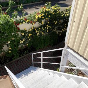 Guest House Santin的阳台或露台