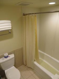 安纳海姆阿纳海姆沙漠旅馆及套房的浴室配有卫生间、淋浴和浴缸。