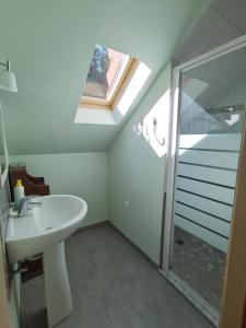 Rombach-le-Franc圣鲁丹度假屋的带淋浴、盥洗盆和天窗的浴室