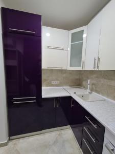 切尔诺夫策127-Avenue Apartment的厨房配有白色橱柜和水槽
