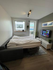 阿克雷里Saga Apartments Akureyri的相册照片