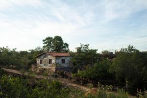 安达拉伊Hostel Portal do Pati的田间中的一个老房子
