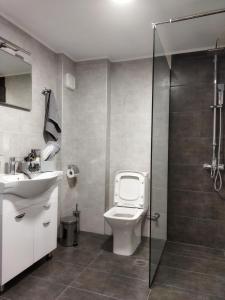 海若克利欧Grey Sense Luxury Apartment的浴室配有卫生间、盥洗盆和淋浴。