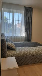 希奥利艾Jaukūs apartamentai centre的一间卧室配有一张带窗户和桌子的床